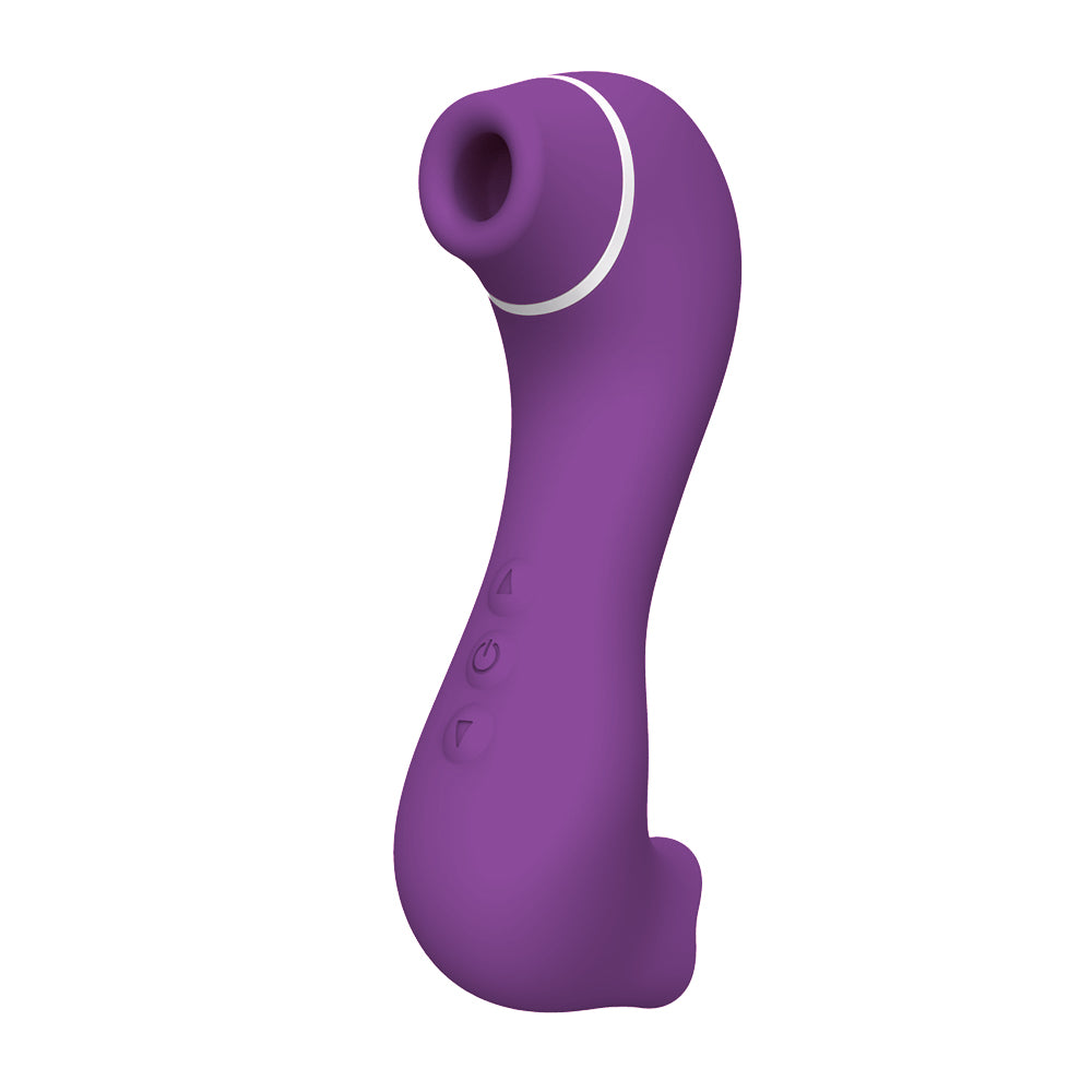 Hippocampe - Soirée Coquine