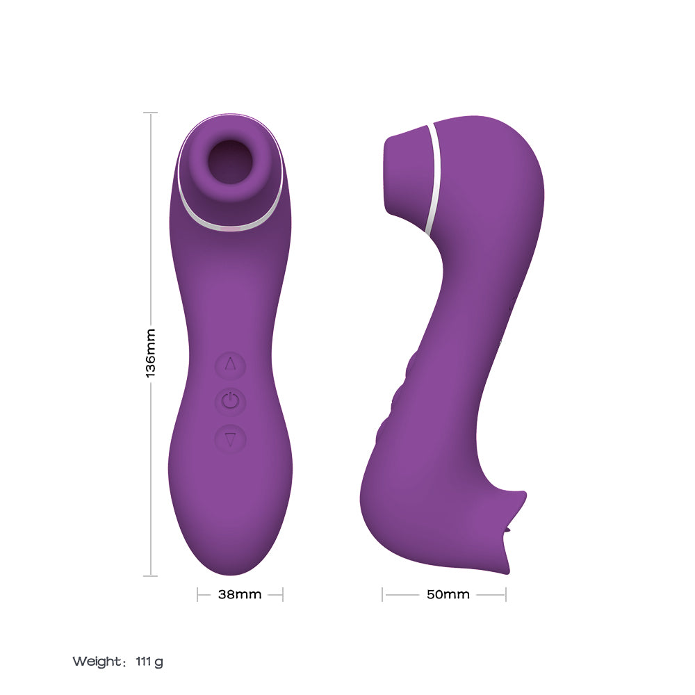 Hippocampe - Soirée Coquine