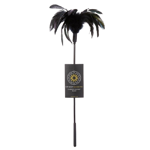 Plumeau noir
