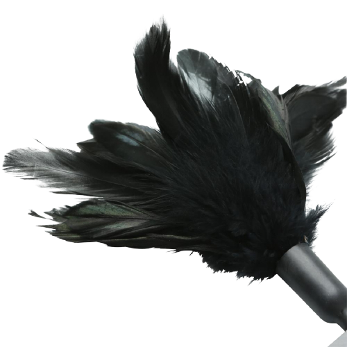 Plumeau noir