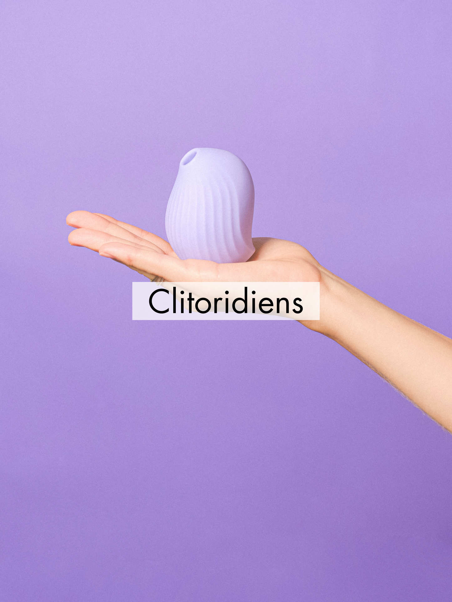 Clitoridiens